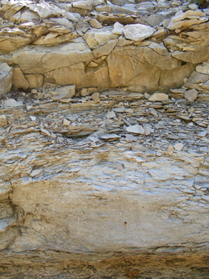 Arbor Hills Park, Plano, Texas (2011)