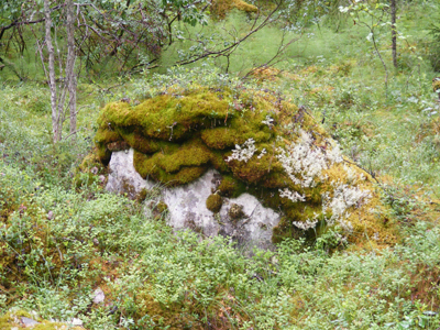Hepoköngäs, Puolanka, Finland (2013)