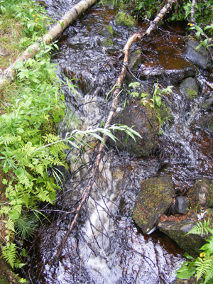 Hepoköngäs, Puolanka, Finland (2013)
