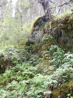 Hepoköngäs, Puolanka, Finland (2013)