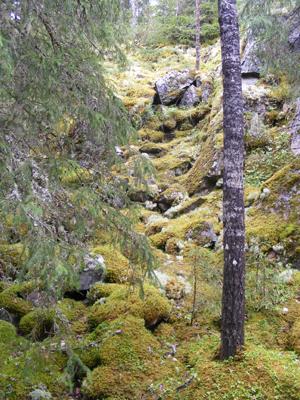 Hepoköngäs, Puolanka, Finland (2013)