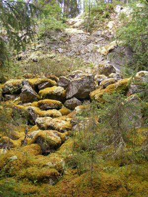 Hepoköngäs, Puolanka, Finland (2013)
