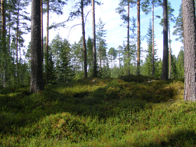 Kastellin Linnanrauniot, Raahe, Finland (2013)