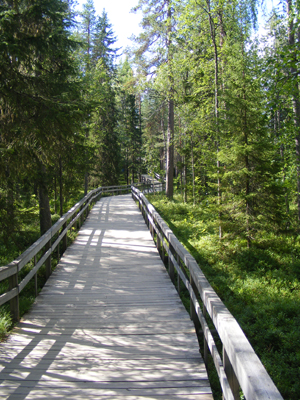 Ranua Zoo, Ranua, Finland (2013)